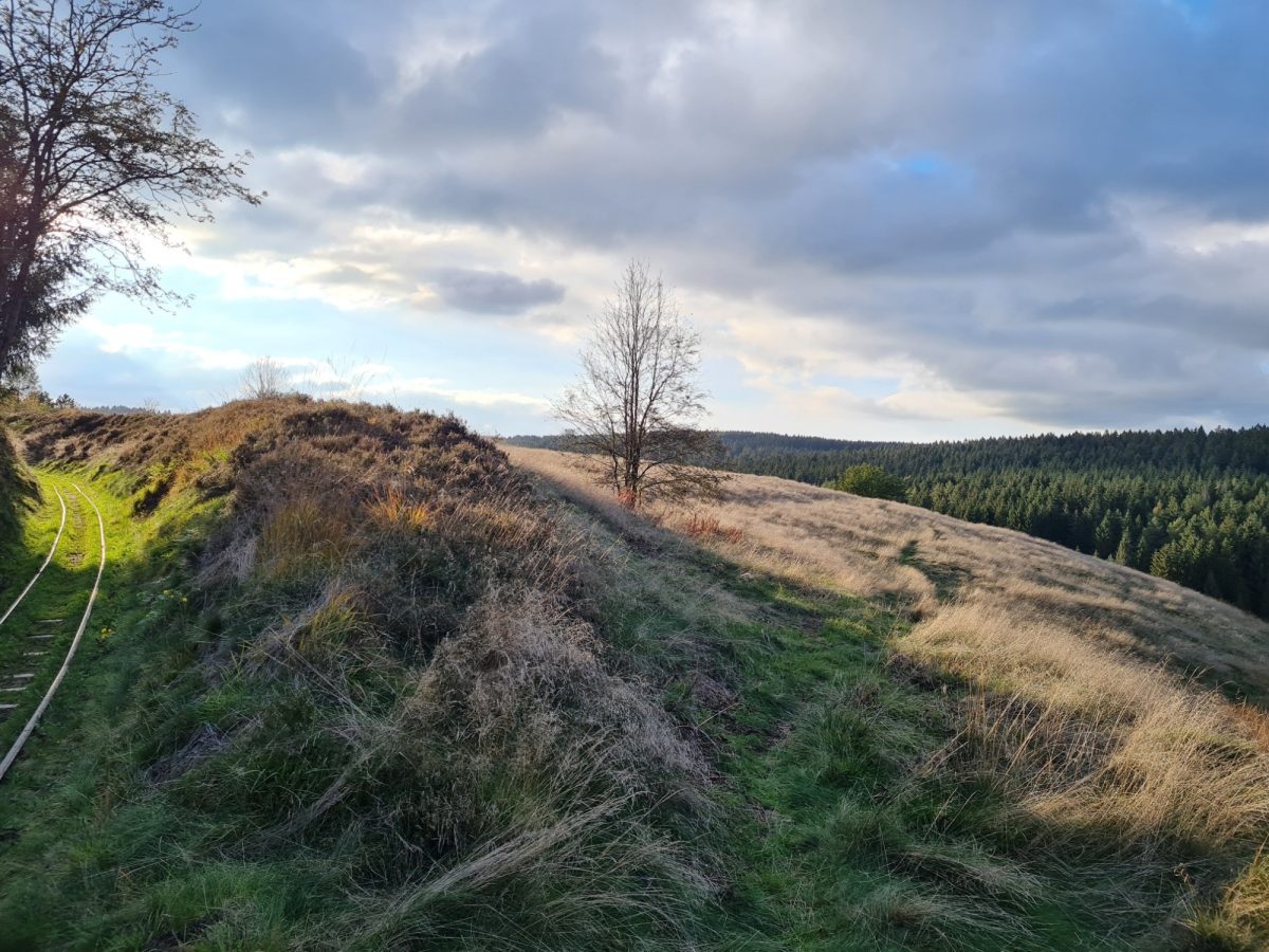 Reiseziele und Urlaubsideen in und um ClausthalZellerfeld
